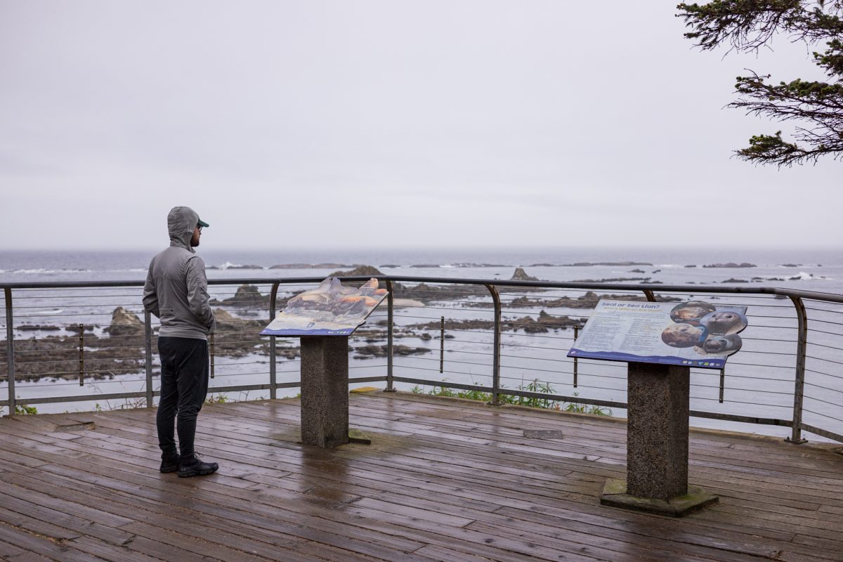 A man looks out to the sea lions at the Simpson Reef Overlook in Shore Acres State Park near Coos Bay, Oregon.