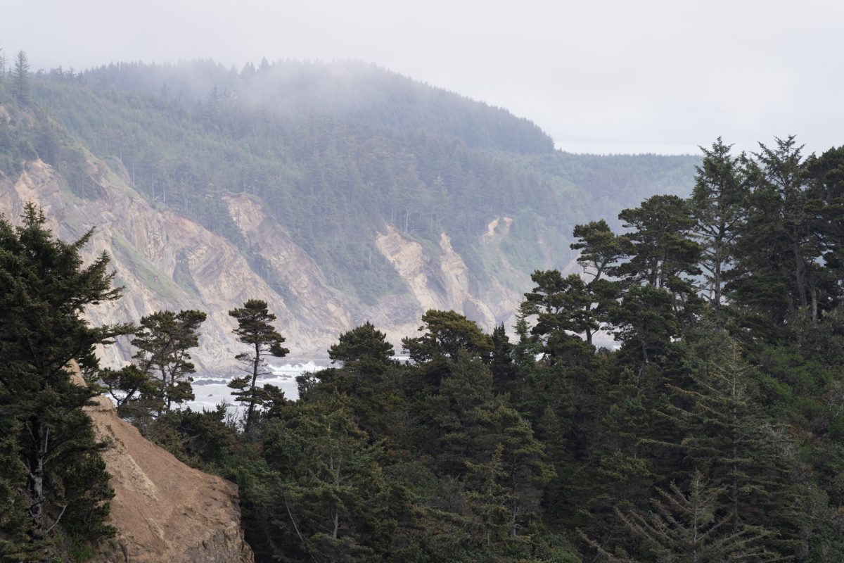 The view from Cape Arago State Park along the Pacific Coast of Oregon.