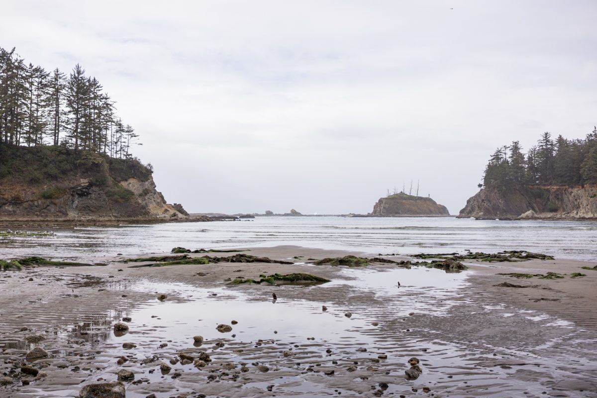 Low tide at Sunset Beach at Sunset Bay State Park near Coos Bay, an Oregon camping destination.