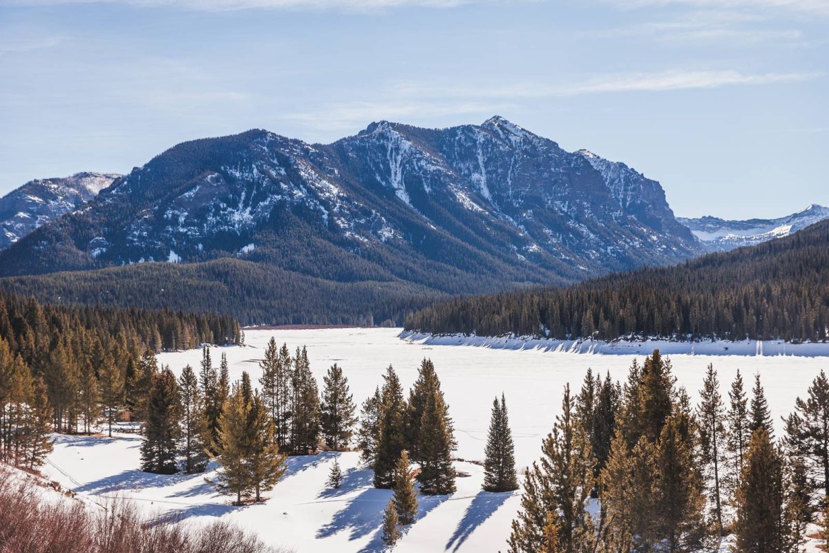 A mountain range covered in snow and evergreen trees. 