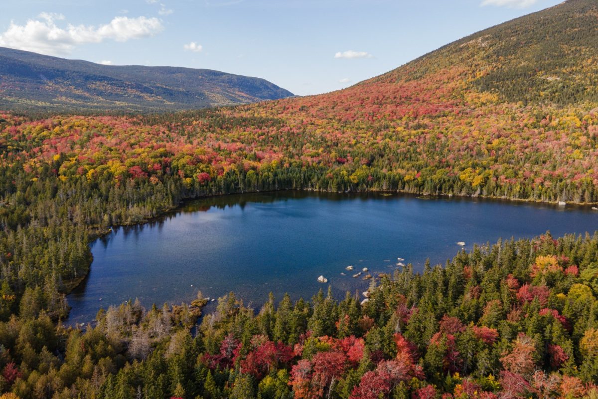 Small body of water surrounded by trees in Maine. 