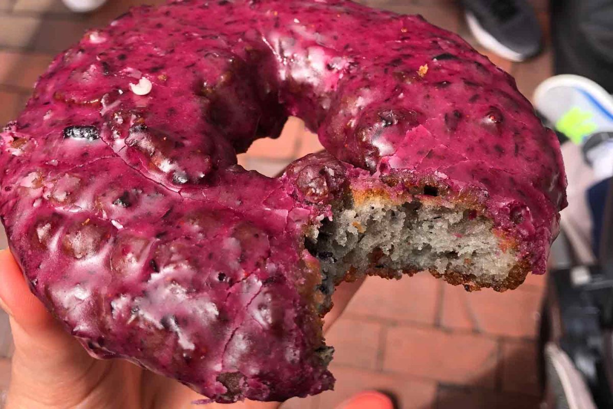 Fun fact about Maine - 99% of America's blueberries come from Maine. A hand holds a partially-eaten pink glazed wild blueberry Maine potato donut. 