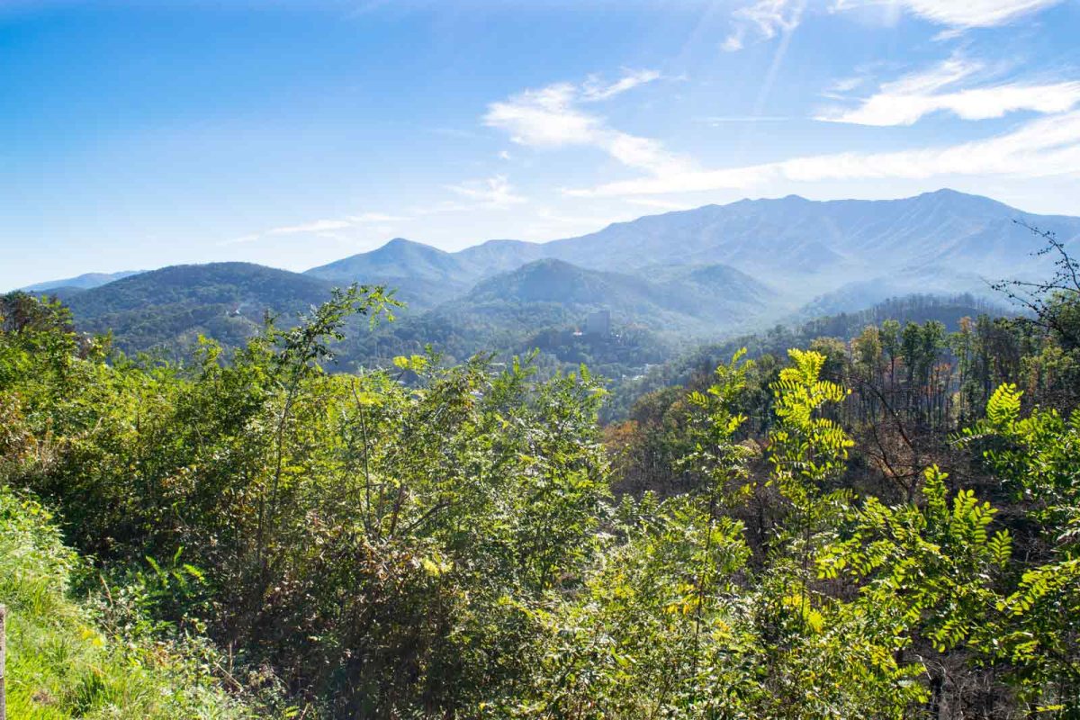 Tree-line view of the Smoky mountains near Pigeon Forge