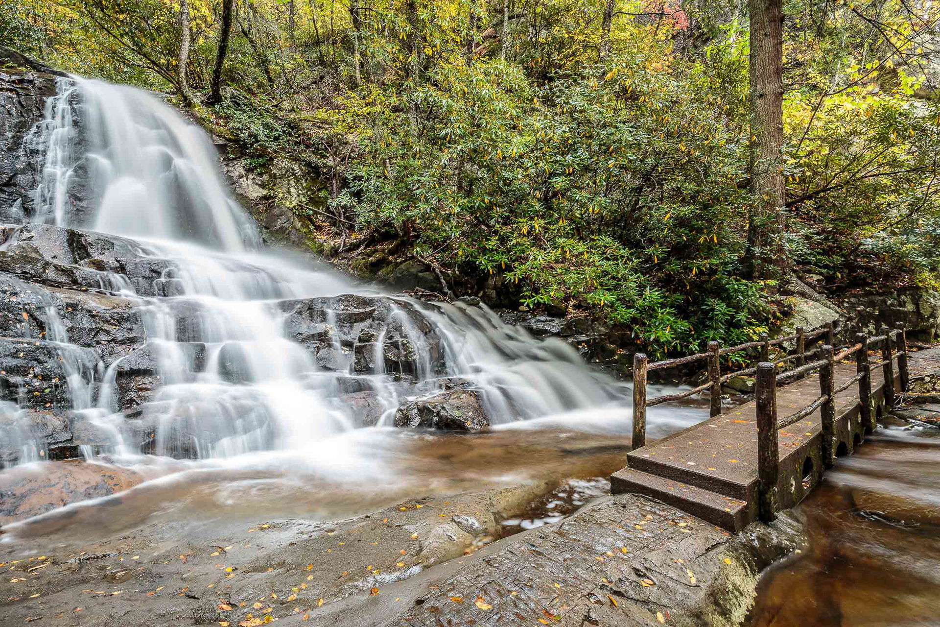 Gatlinburg Hiking Trails Bucket List