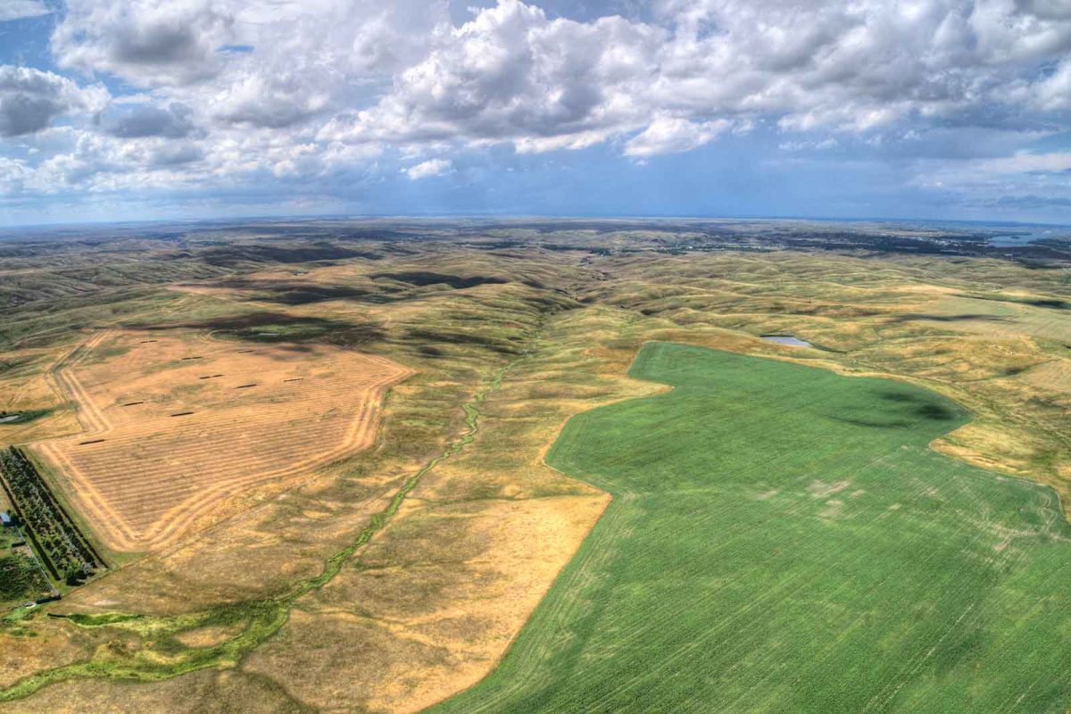 An aerial shot of green and brown fields within Fort Pierre National Grassland. 