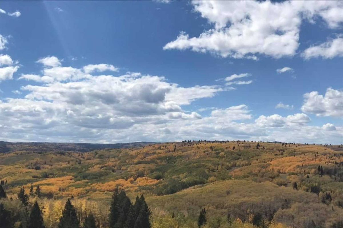 Blue skies over rolling hillside near Conejos River Campground. 