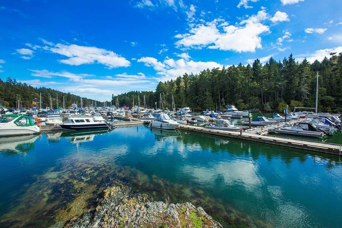 Boats moored at the marina at Pedder Bay RV Resort & Marina with trees and blue skies in the background. 