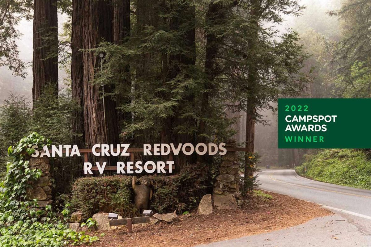 The entrance sign to Santa Cruz Redwoods RV Resort, mounted at the base of redwoods near a winding road. 