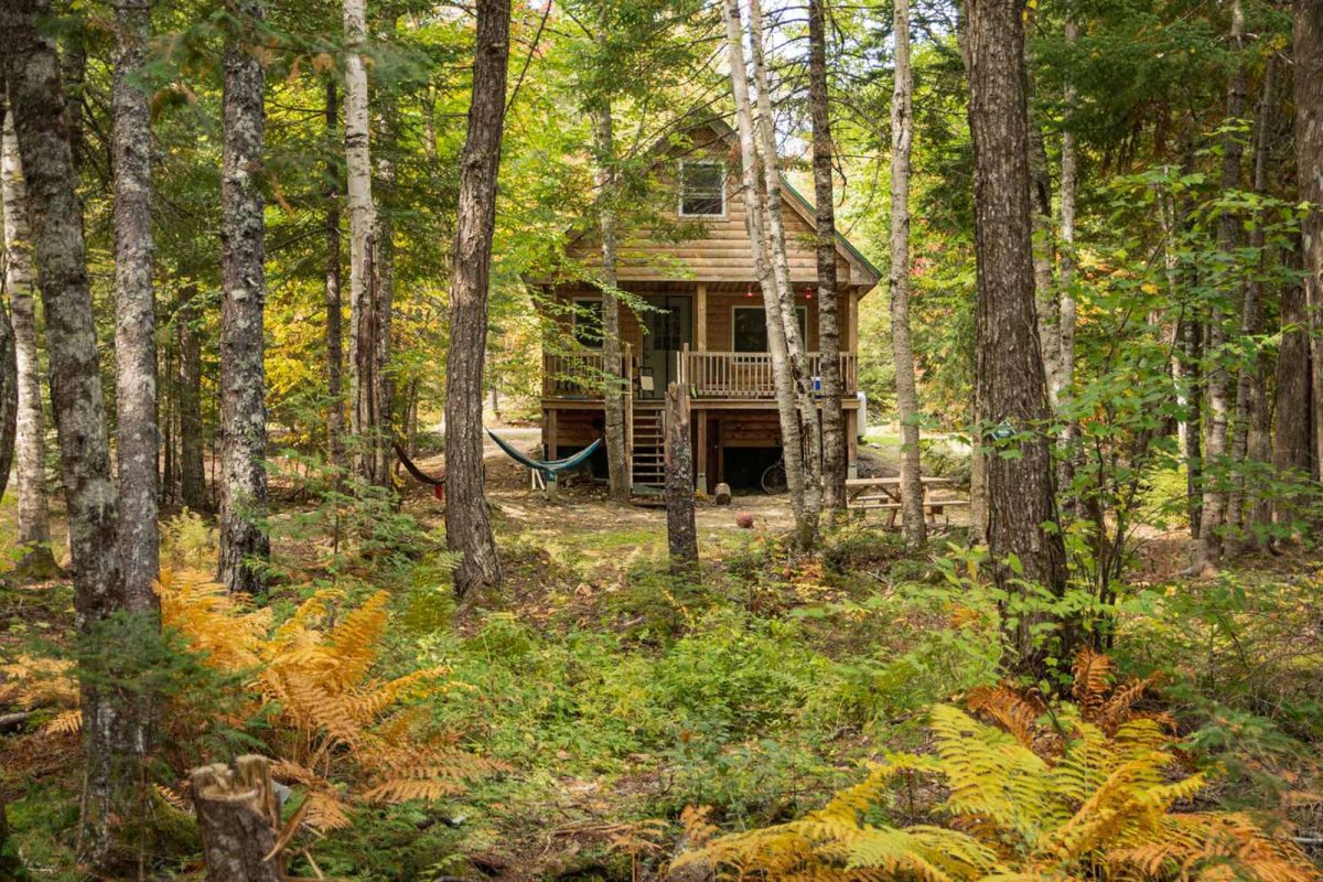 A cabin in the woods, surrounded by trees at Wild Fox Cabins & Campgrounds. 