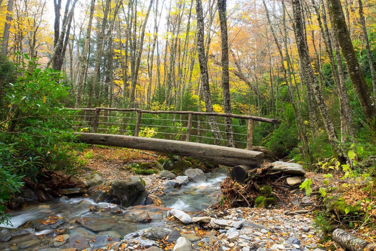 A wooden footbridge over a creek in the woods on Alum Cave trail, a popular way to go hiking in Tennessee. 