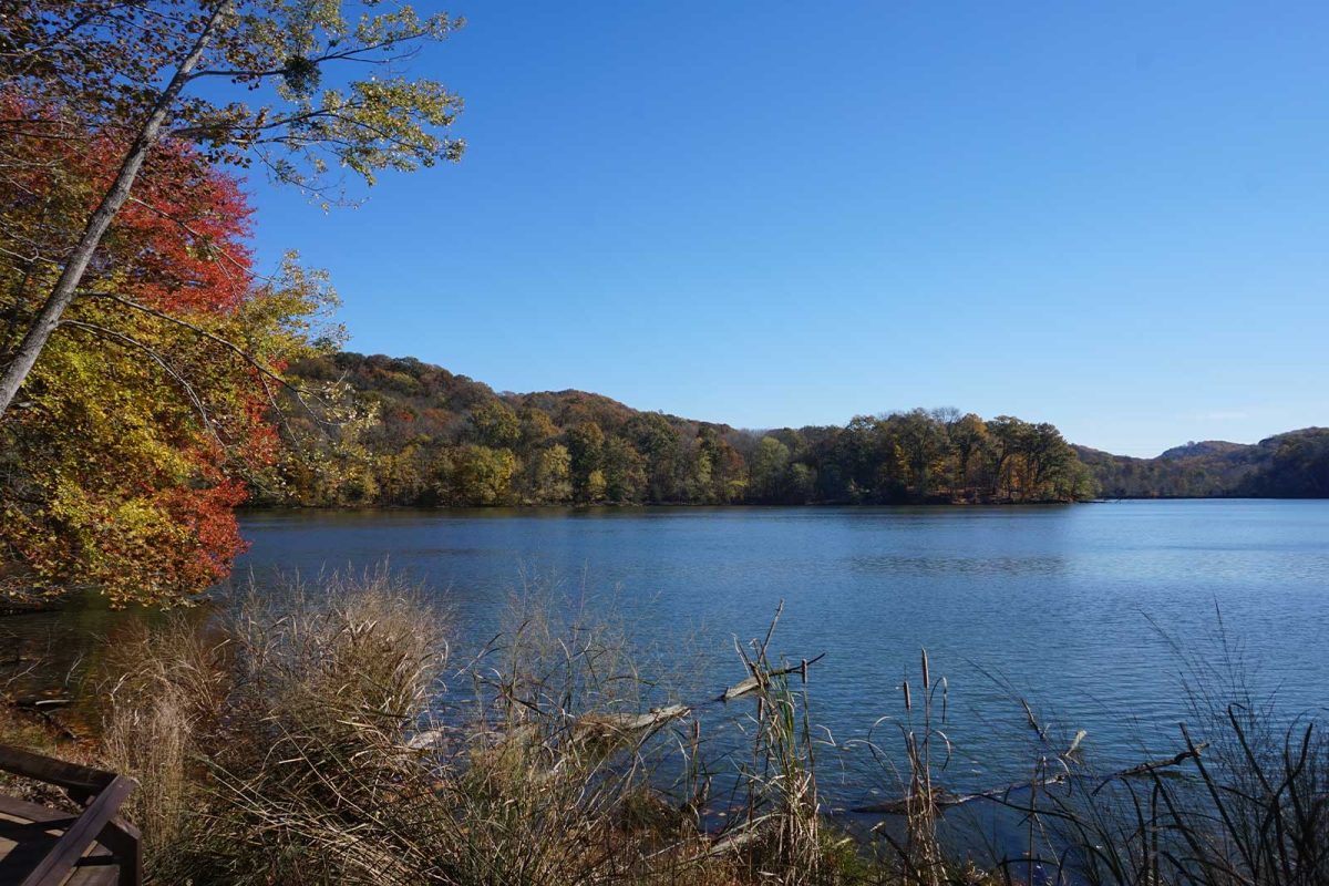 The view of Radnor Lake surrounded by trees while hiking in Tennessee. 