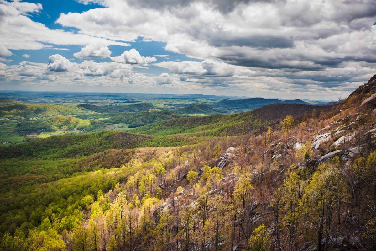 View from Old Rag Mountain loop trail while hiking in Virginia. 