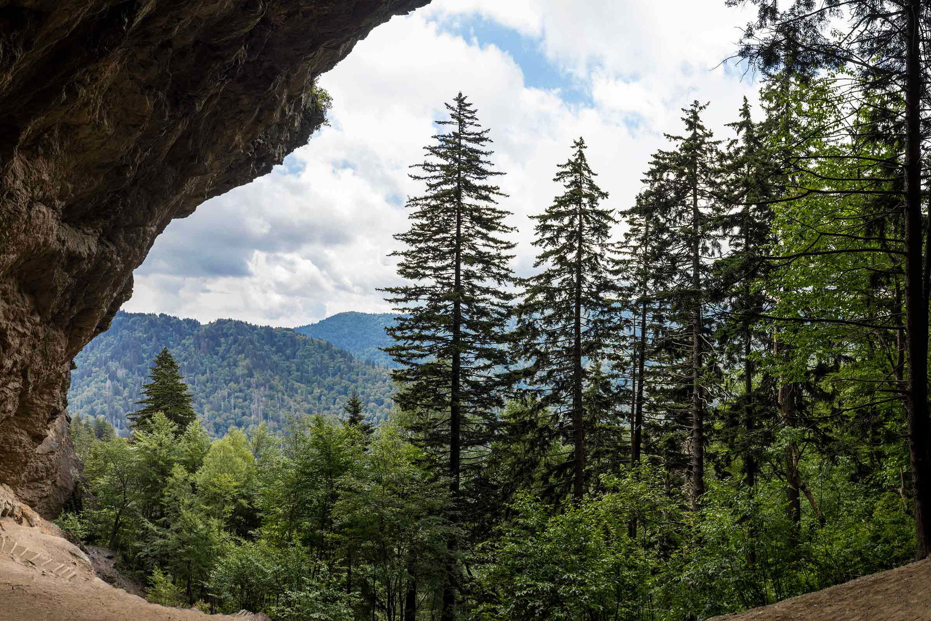 The Best Hiking in Tennessee