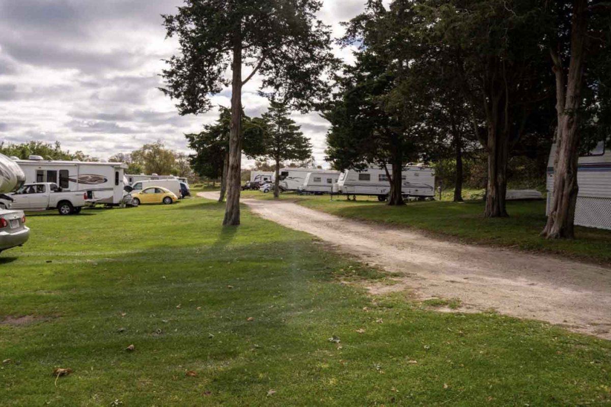 RVs parked in the trees at Meadowlark RV park. 