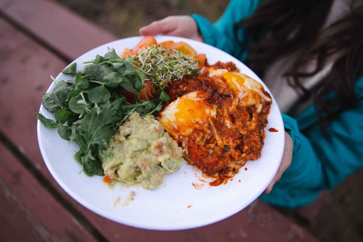 A plate of shakshuka with greens, guacamole and sides. 