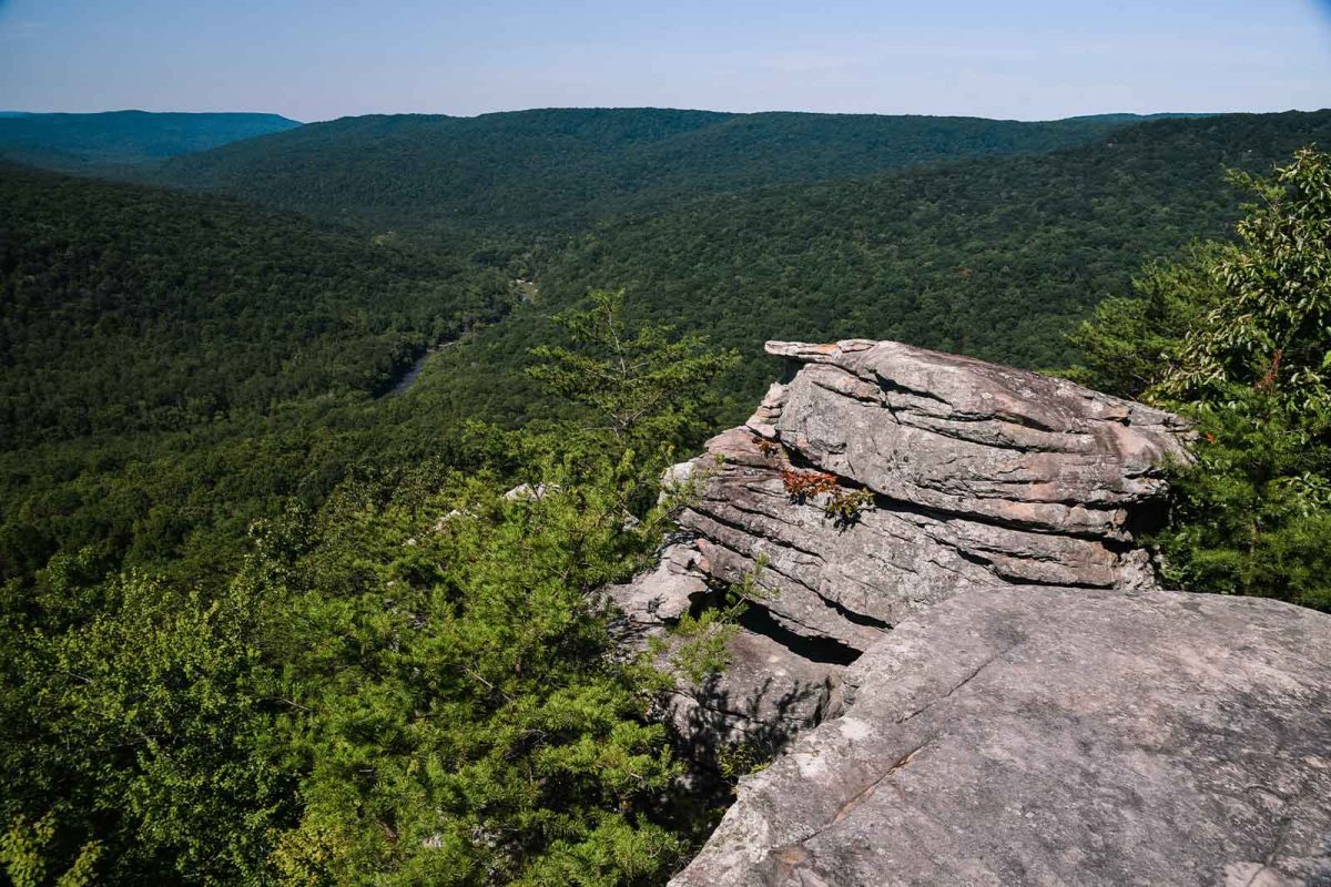 The view on Virgin Falls Trail, a popular hike in Tennessee. 