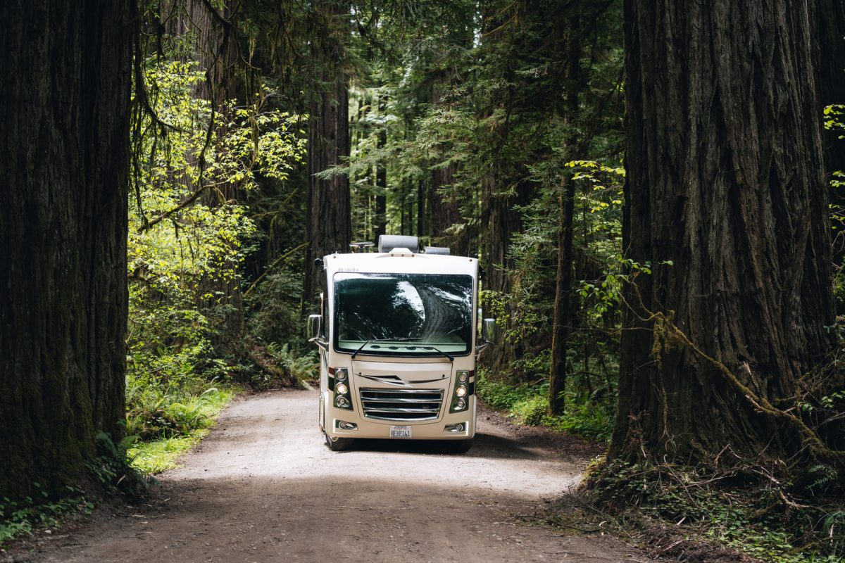 An RV on a dirt road between tall trees in a forest. 