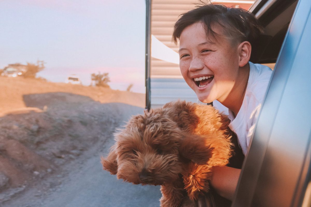 A young boy and dog stick their heads out of a truck window with an RV towed behind them. 