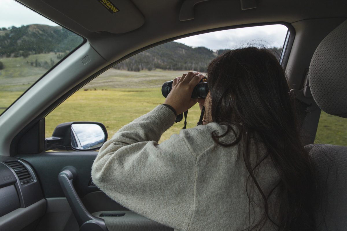 woman with binoculars looking for wildlife in Lamar Valley