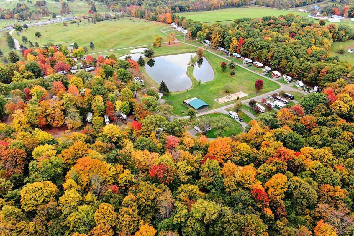 Aerial shot of fall foliage at Belden Hill Campground 