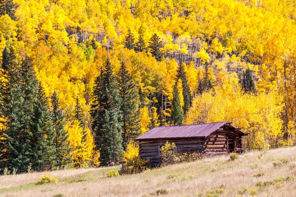 cabin in the colorful Colorado woods with yellow leaves