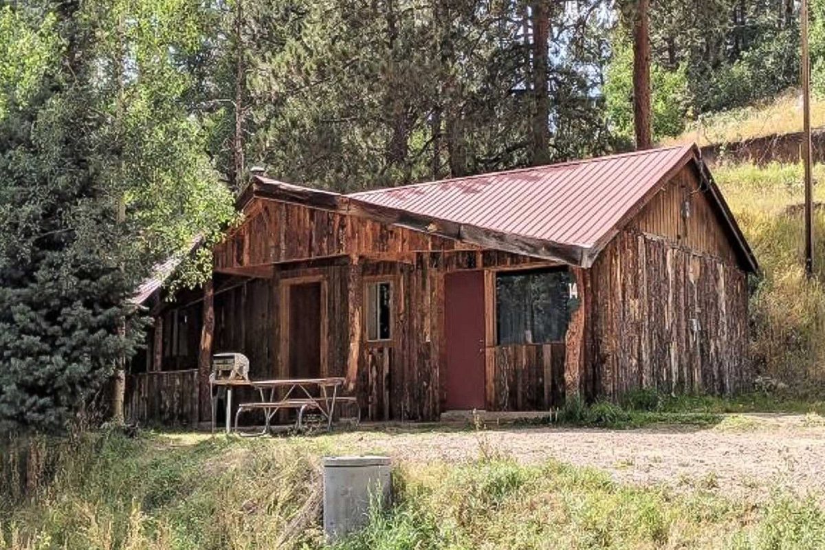 cabin nestled in the woods