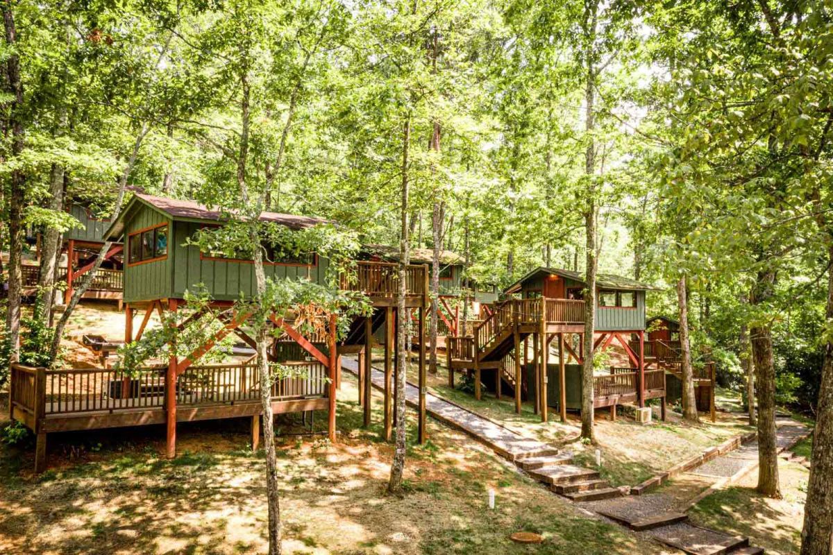 Cabins on stilts under a canopy of trees at Yogi Bear's Jellystone Park™ Camp-Resort: Golden Valley 