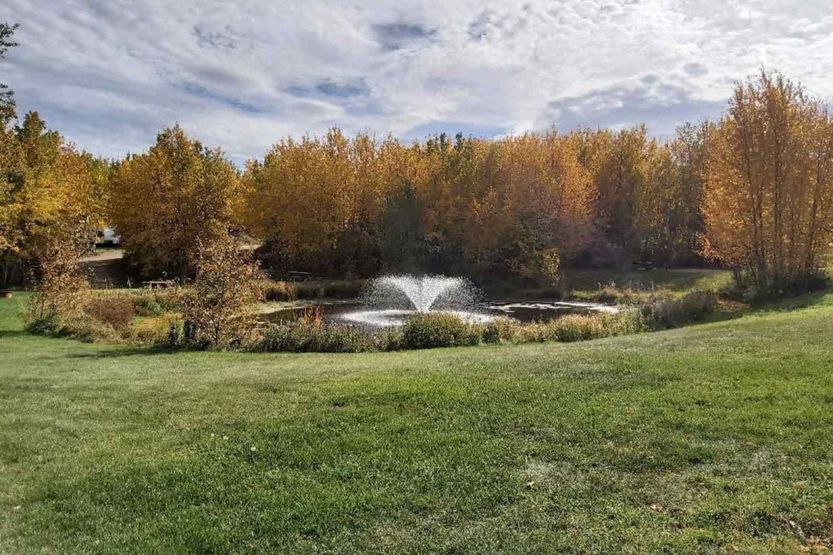 A water fountain surrounded by fall foliage 