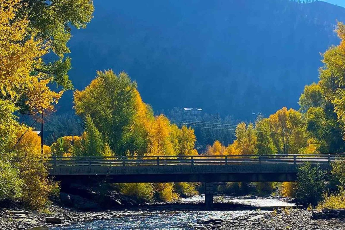 Fall foliage at River Fork RV Park Campground. 