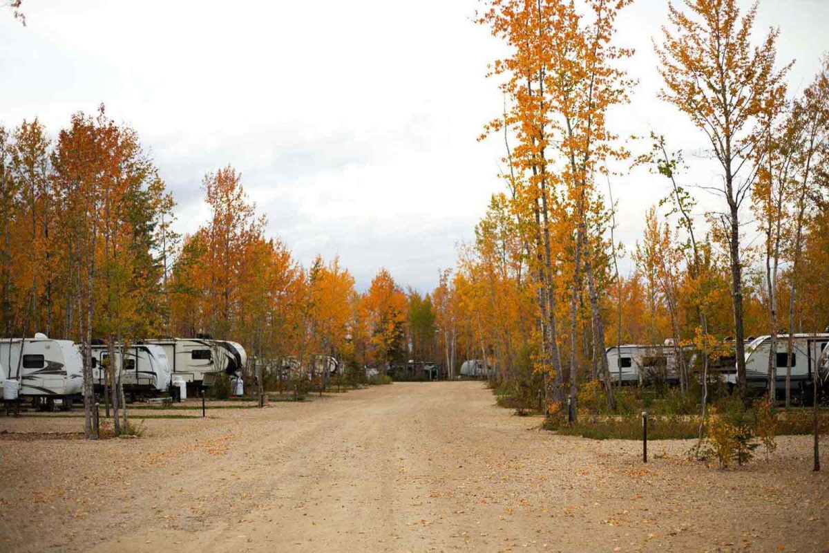 RV sites surrounded by changing fall foliage 