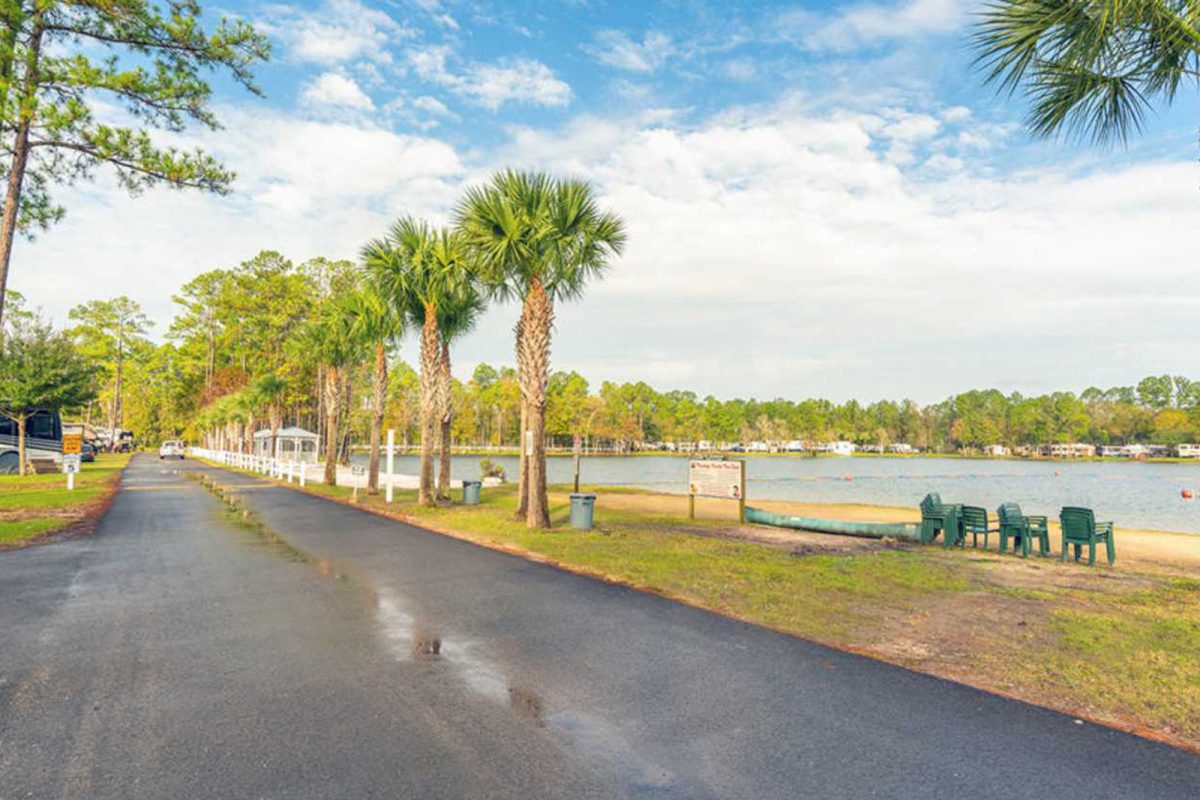 Flaming Lake palm trees on campground near NFL stadiums