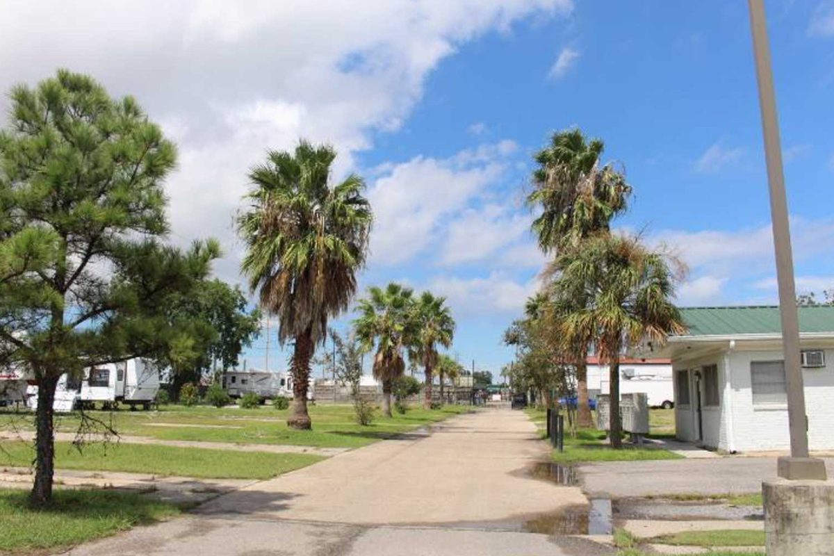 palm trees line the walkway through the RV resort near NFL stadium