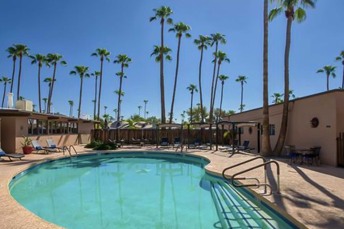 swimming pool at campground surrounded by palm trees