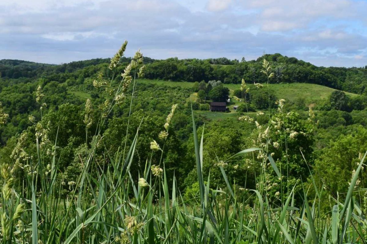 cabin on campground near NFL stadiums amidst beautiful green field