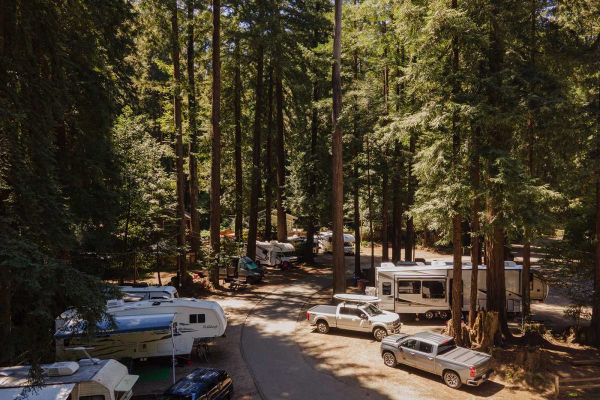 RV campground near NFL stadiums, surrounded by tall redwood trees