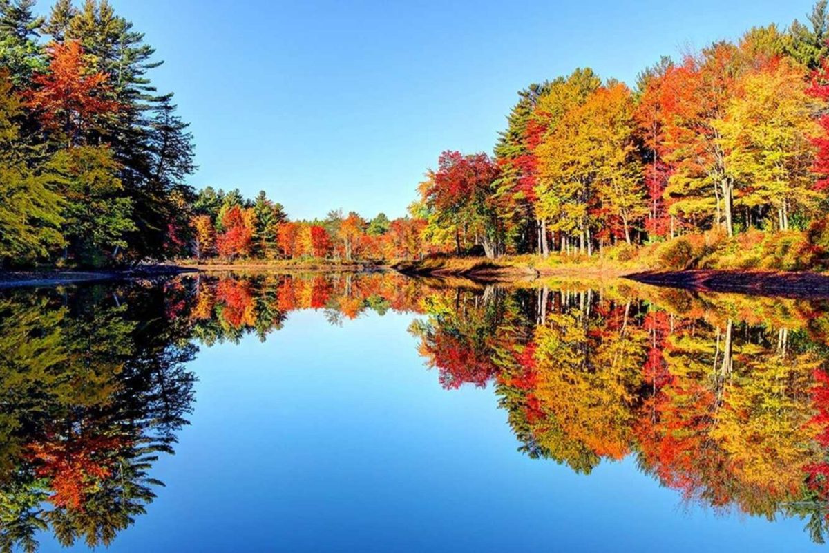 fall trees with changing leaves near lake