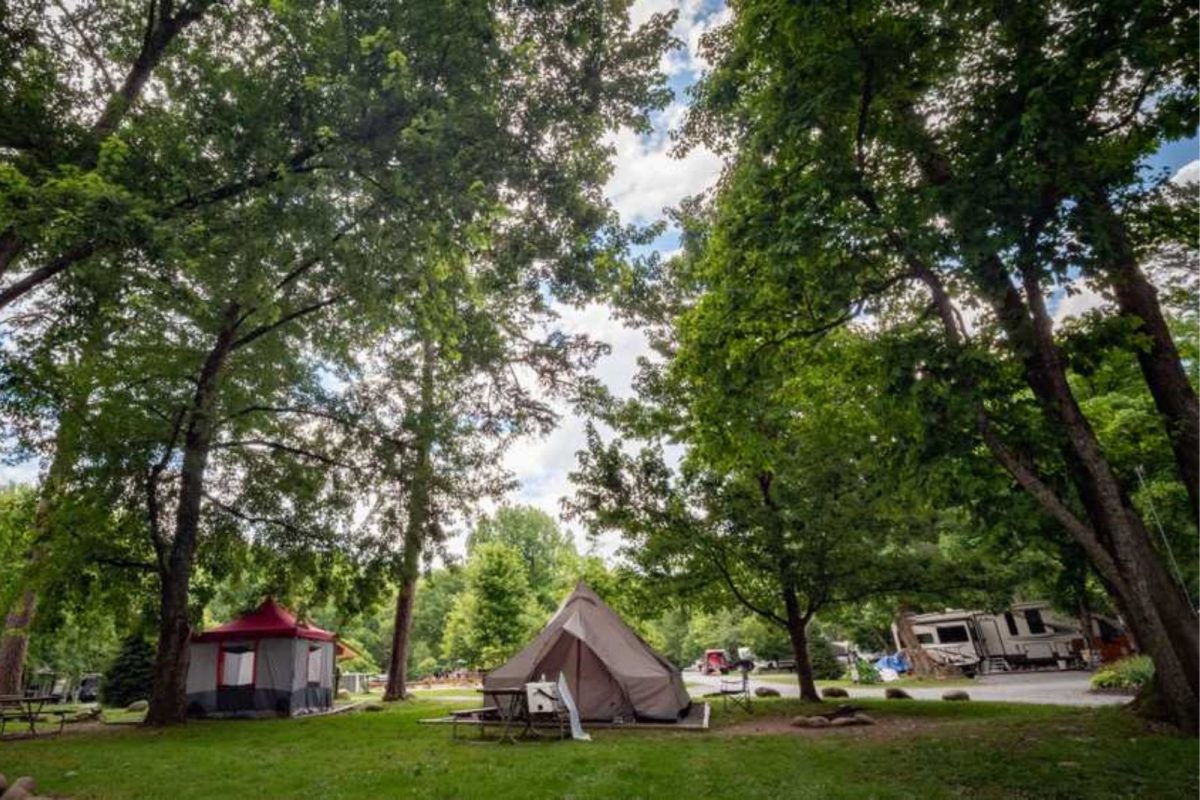 campground near Gatlinburg, TN, with tents and RV under tall trees