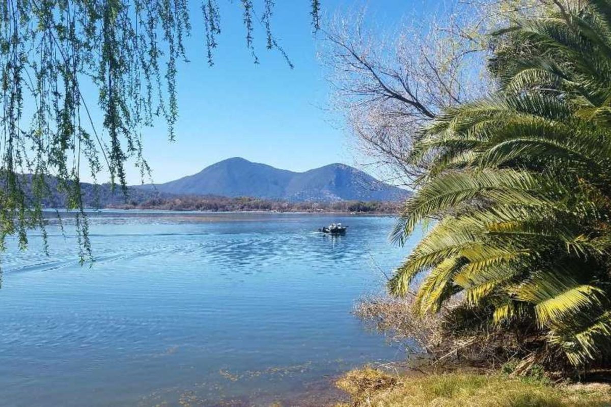 lake with boat surrounded by palm tree 