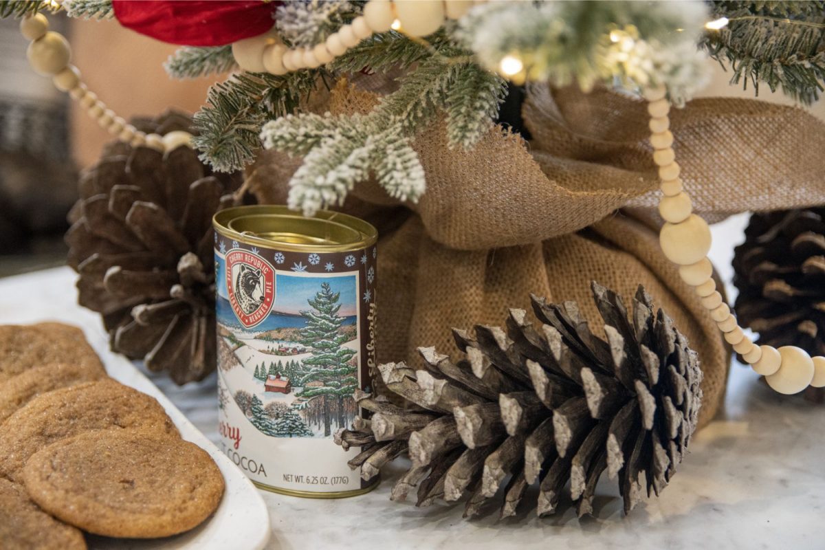 pinecones and candle placed underneath mini Christmas tree inside RV