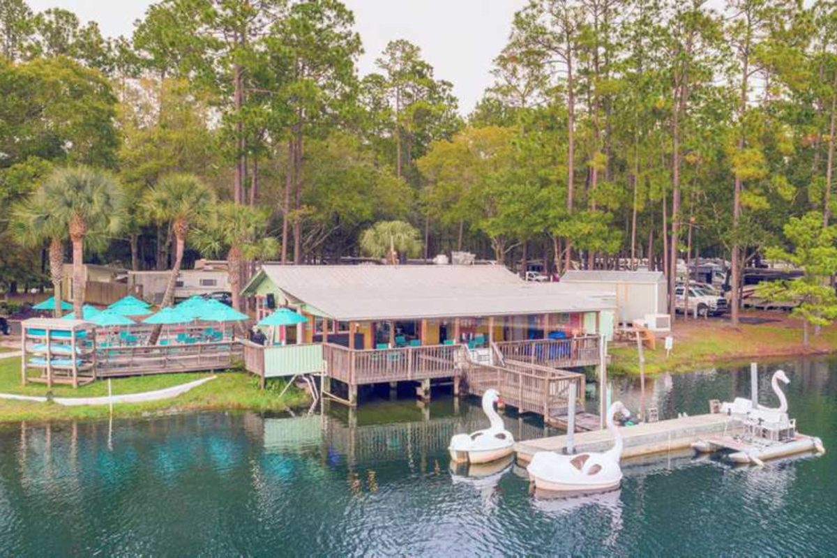 swan paddle boats on lake next to lodge and pool