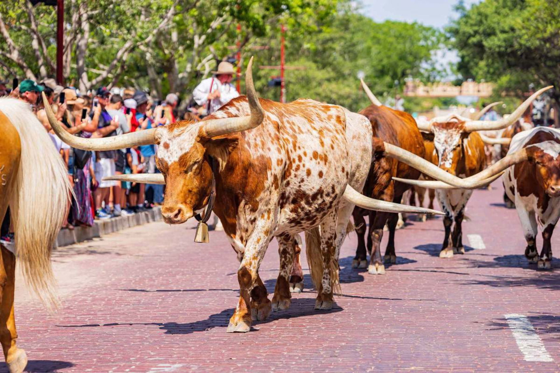 The 9 Best Campgrounds Near Fort Worth, TX