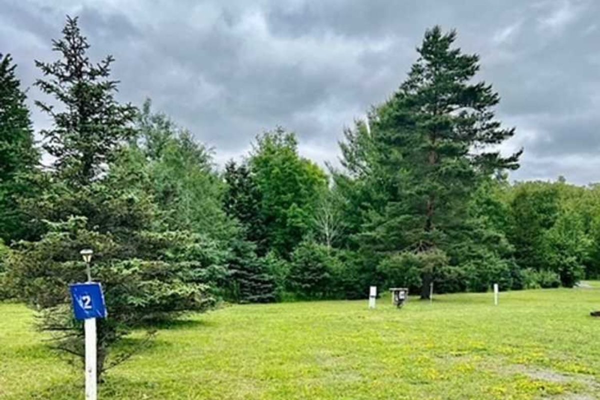 trees with gray clouds on Rochester, NY campground