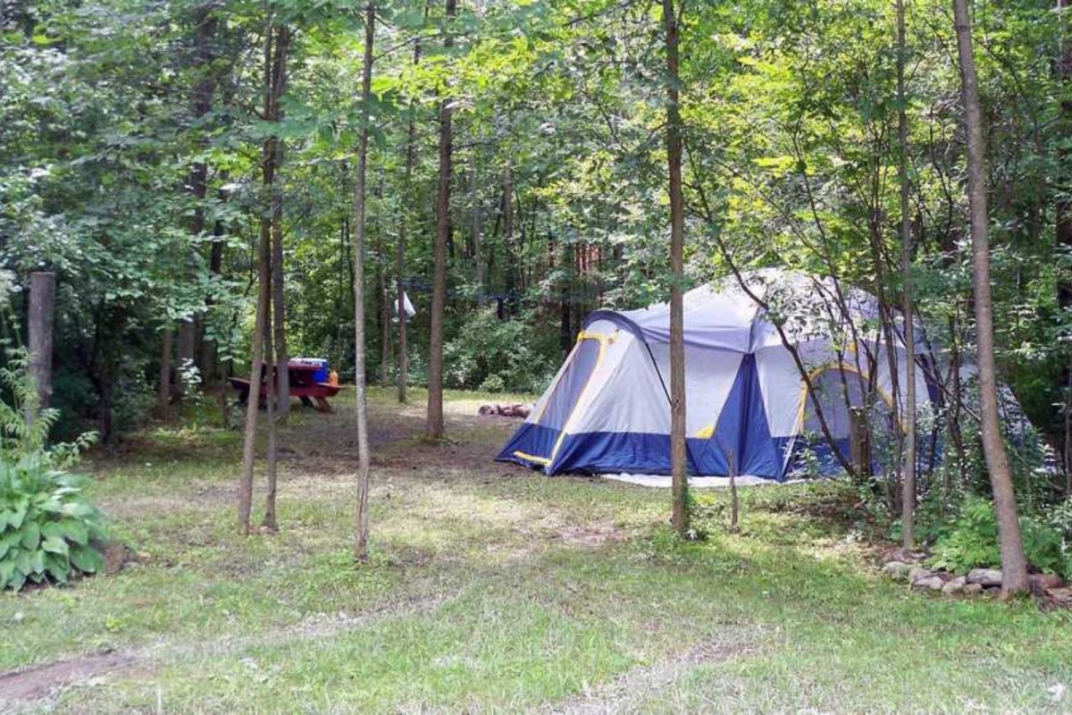 tent pitched among trees at campground