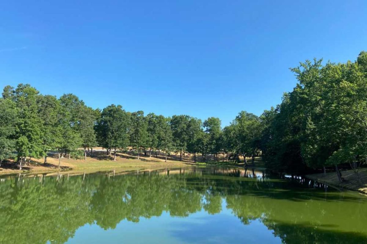 lake surrounded by trees on either side at campground near Concord, NC