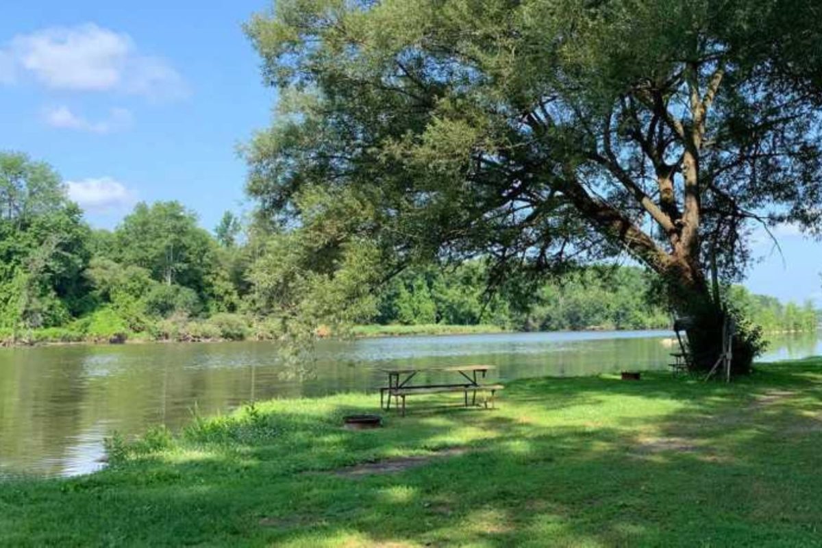 picnic bench and big tree by river