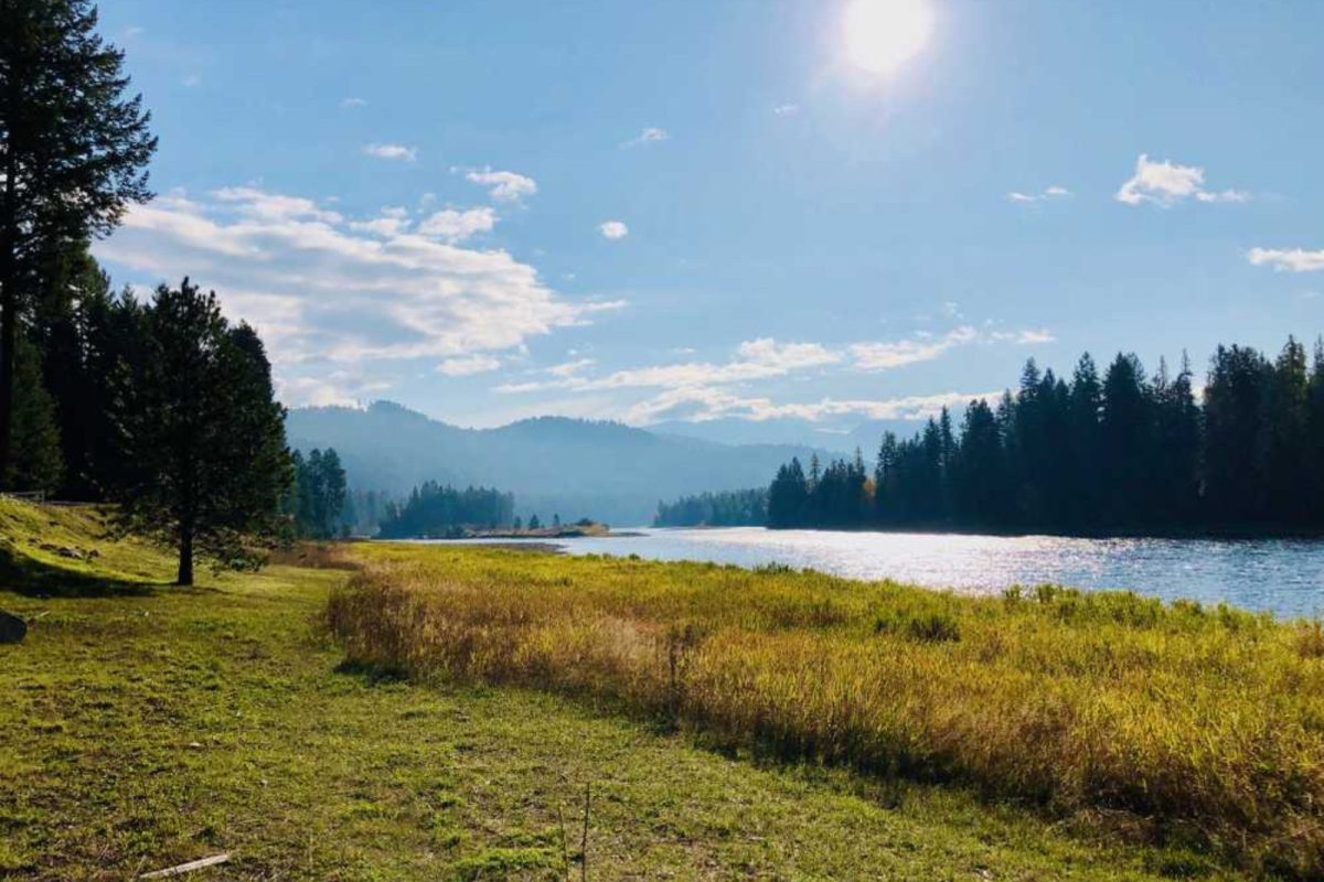 river and trees in Montana by award-winning campground