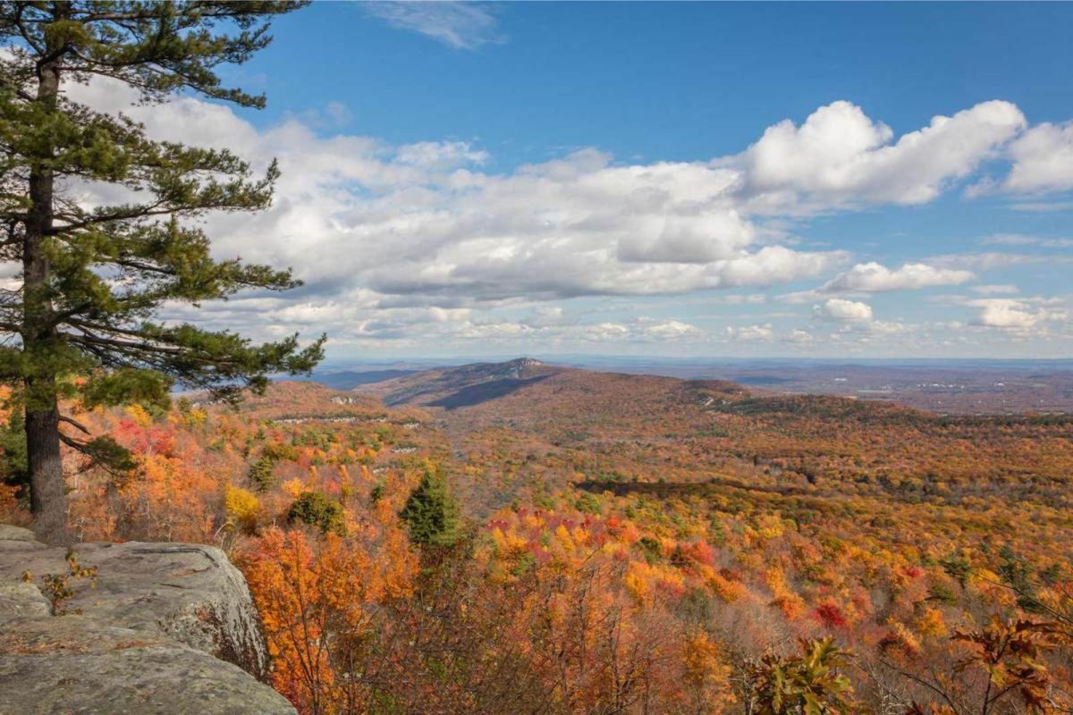 fall leaves at Minnewaska State Park Preserve