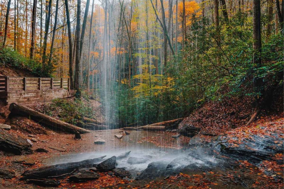 Moore Cove Falls hike near Asheville