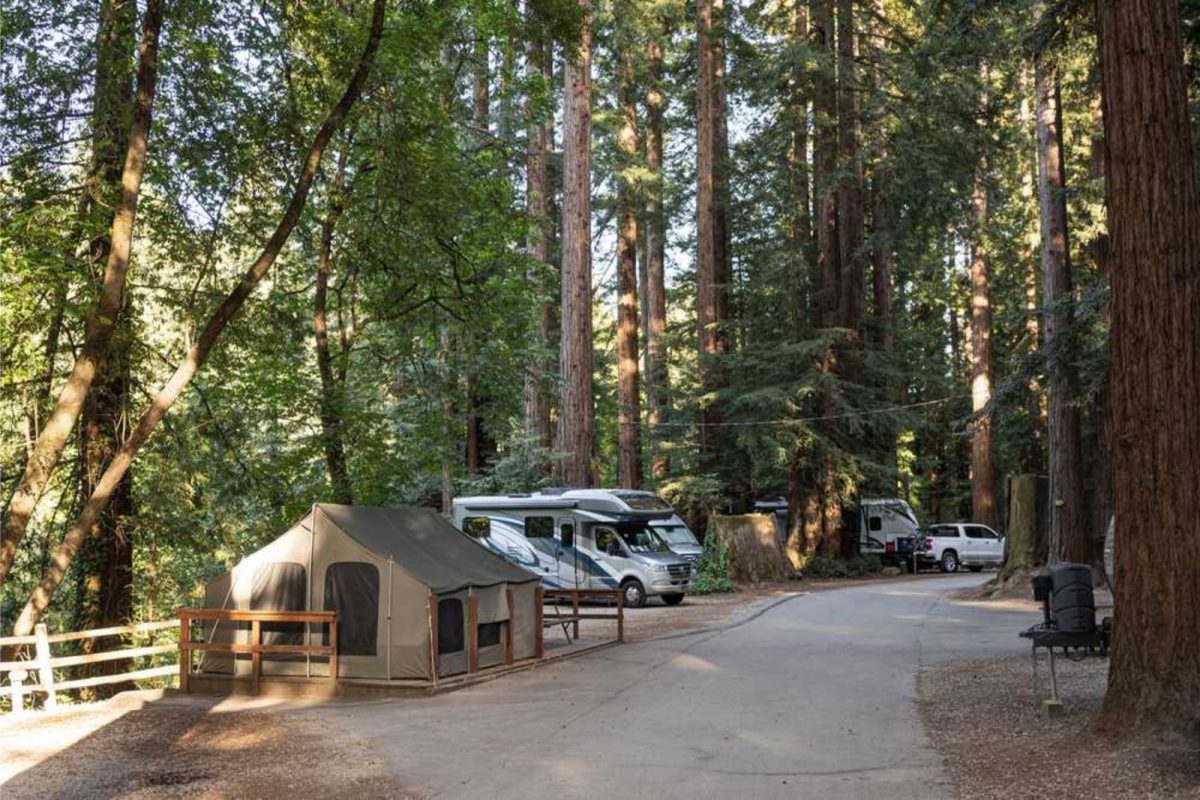 tent and RVS at Santa Cruz RV resort