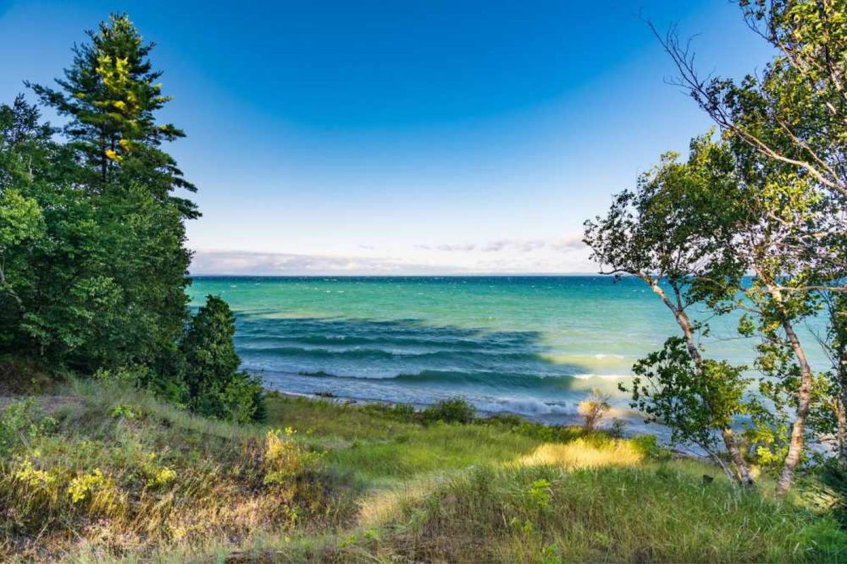 Blue-green waves lap the shores between two clumps of green trees with blue, cloudless skies overhead. 